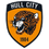 Hull City