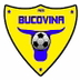Bucovina Rădăuţi