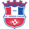 Oţelul