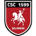 Viitorul Şelimbăr