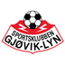 Gjøvik-Lyn