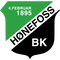 Hønefoss