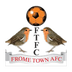 Frome Town