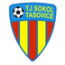 Sokol Tasovice