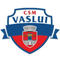 CSM FC Vaslui