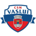 CSM FC Vaslui