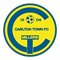 Carlton Town