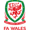 Wales U21