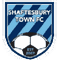 Shaftesbury Town