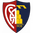 Montevarchi Calcio