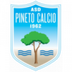 Pineto