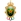 FAR Rabat