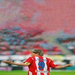 Avatar de hugogrinan