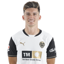 Pepelu
