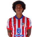 Witsel