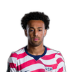 Foto de Tyler Adams