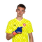 Foto de M. Kovář