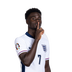 Foto de Saka