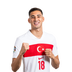 Foto de M. Müldür