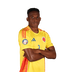 Foto de J. Lucumí