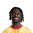 Foto de Jugador