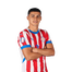 Foto de Jugador