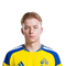 Foto de D. Svensson