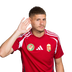 Foto de M. Dardai