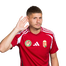 Foto de M. Dardai