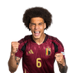 Foto de A. Witsel