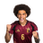 Foto de A. Witsel