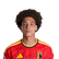 Foto de A. Witsel