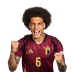 Foto de A. Witsel