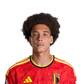 Foto de A. Witsel