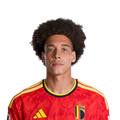 Foto de A. Witsel