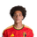 Foto de A. Witsel