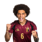 Foto de A. Witsel