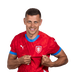 Foto de T. Holeš