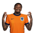 Foto de S. Bergwijn