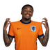 Foto de S. Bergwijn