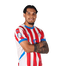 Foto de Jugador