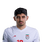 Foto de M. Torabi