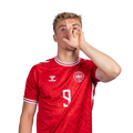Foto de R. Højlund