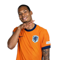 Foto de V. van Dijk