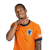 Foto de V. van Dijk