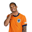Foto de Van Dijk