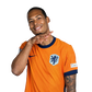 Foto de V. van Dijk