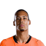 Foto de V. van Dijk