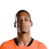 Foto de V. van Dijk