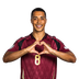 Foto de Y. Tielemans